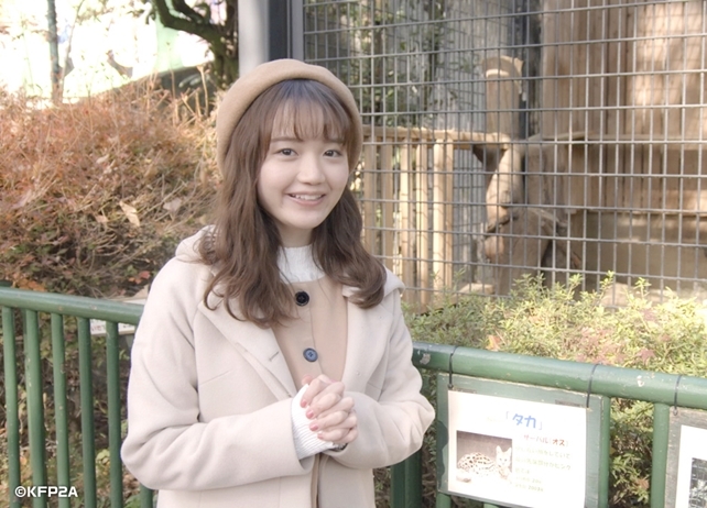 冬アニメ『けものフレンズ2』初回は放送直前特番に