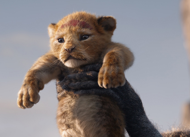 ディズニー実写映画『ライオン・キング』特報映像が解禁