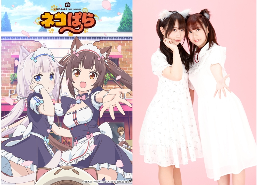 世界累計260万DLのゲームコンテンツ『ネコぱら』がTVアニメ化!