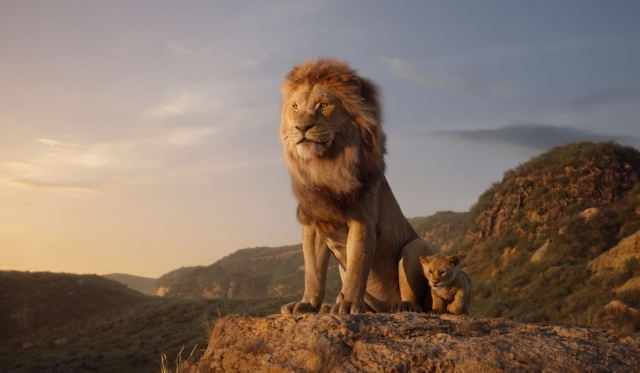 実写映画 ライオン キング の注目ポイントに迫る アニメイトタイムズ