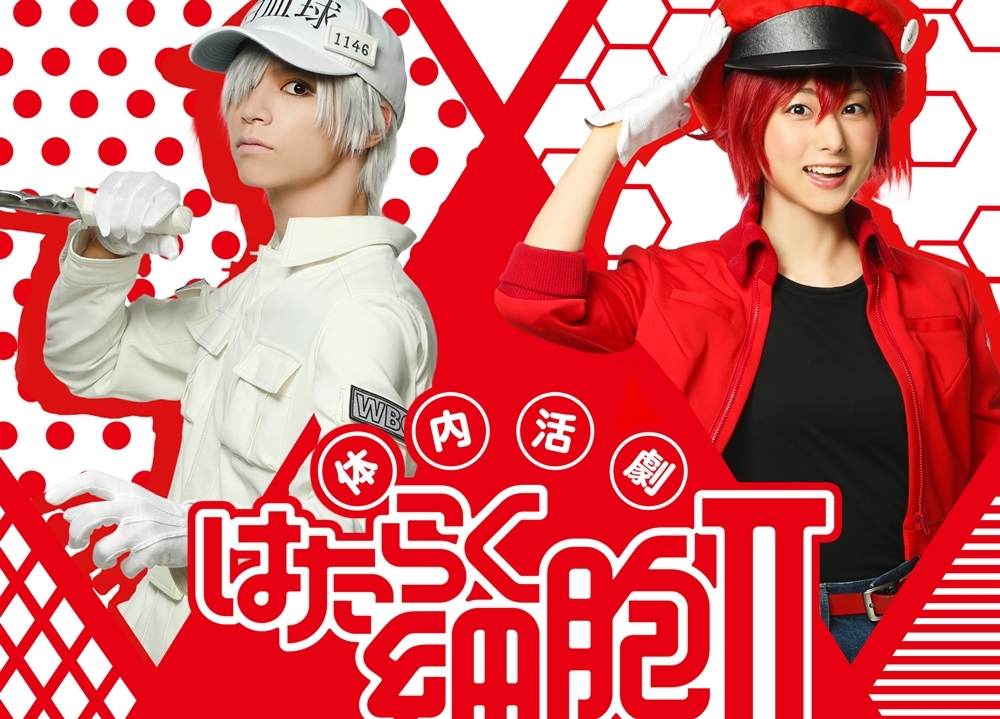 体内活劇「はたらく細胞」IIが公演決定!