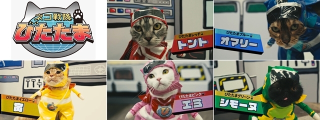 声優 猫 ネコ戦隊 びたたま 10 11より放送スタート アニメイトタイムズ
