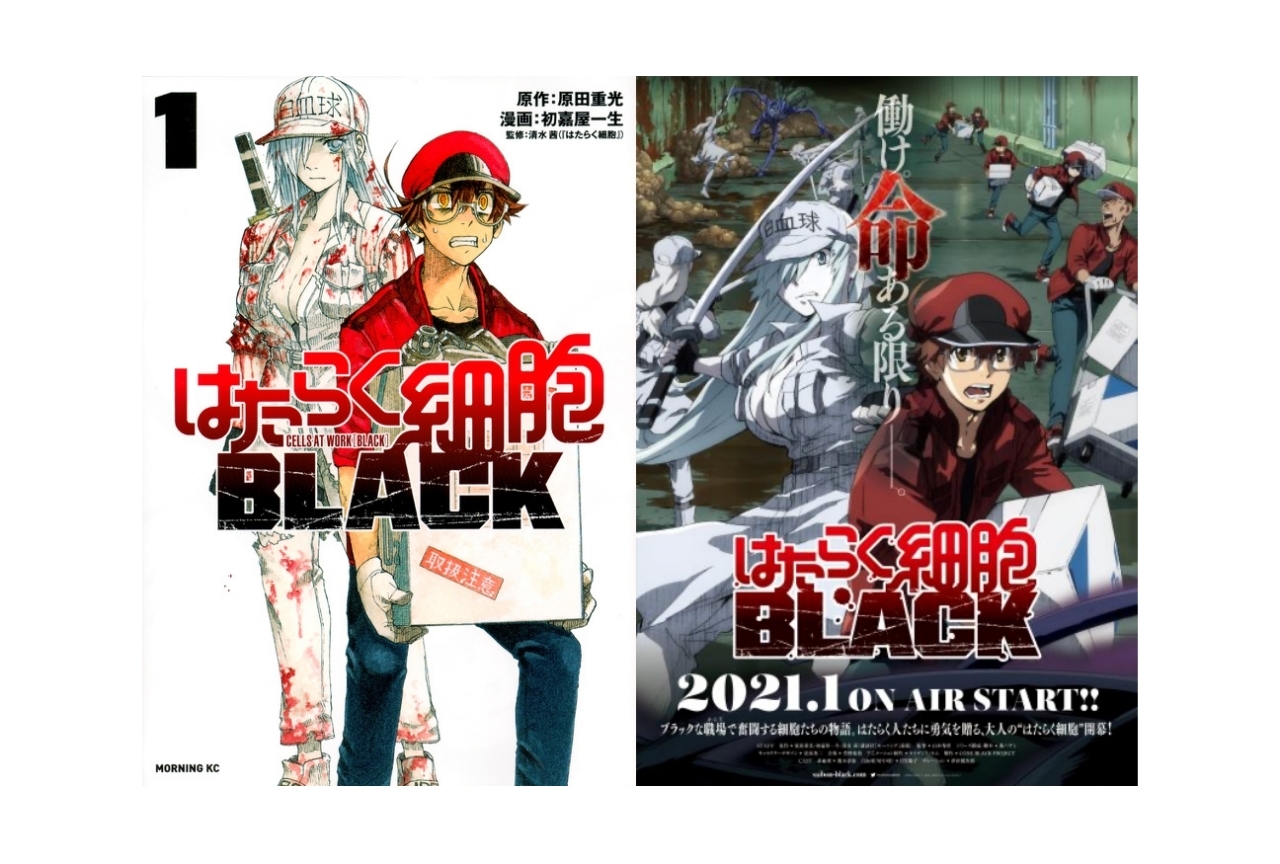 はたらく細胞black Tvアニメ化 榎木淳弥ら出演声優発表 アニメイト はたらく細胞black Tvアニメ化 榎木淳弥ら出演声優発表 アニメイト