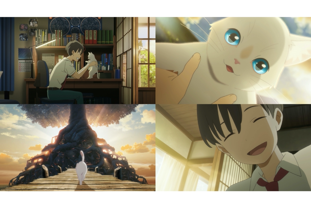 アニメ映画『泣きたい私は猫をかぶる』Netflixで独占配信決定