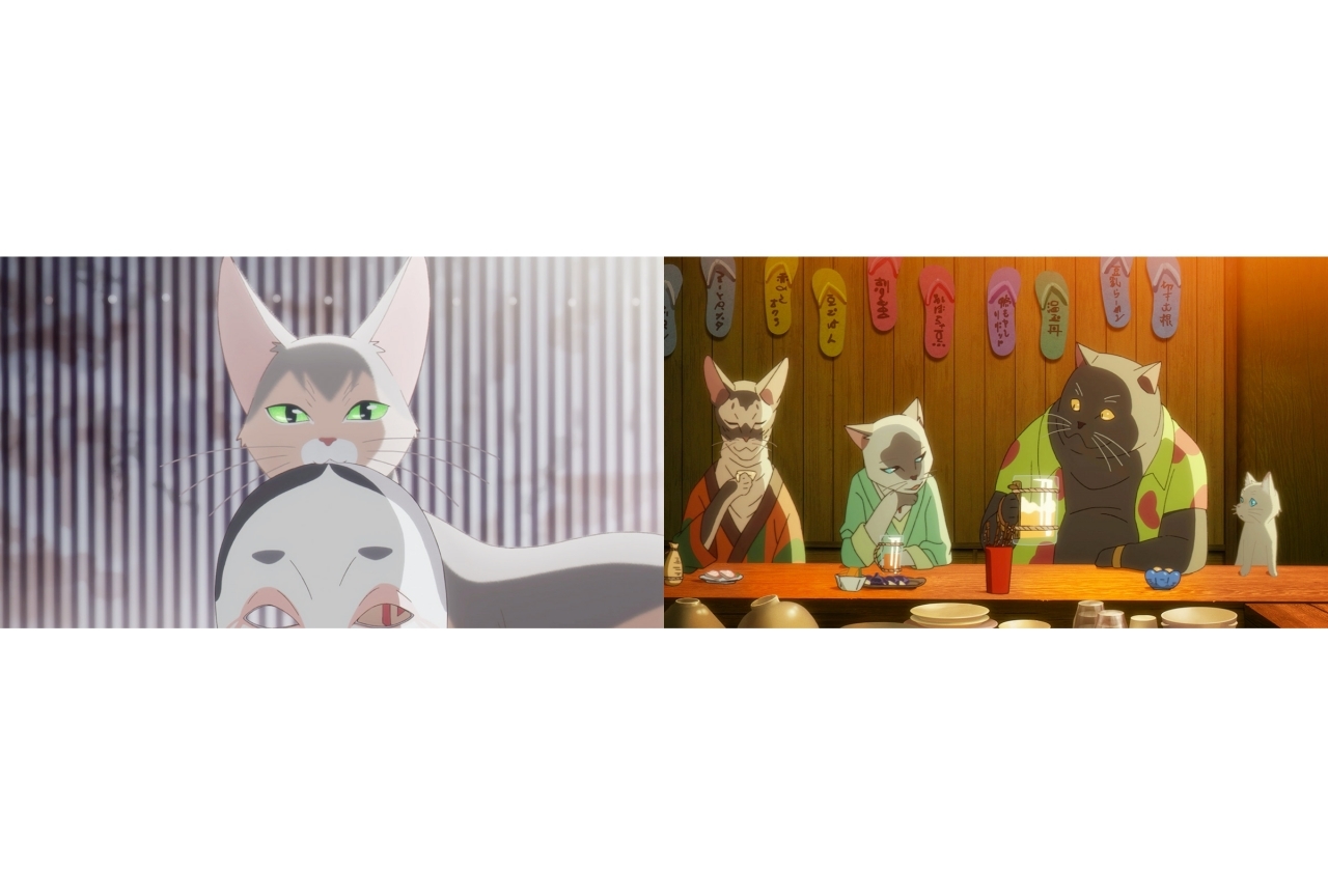 長編アニメ『泣きたい私は猫をかぶる』特別映像公開
