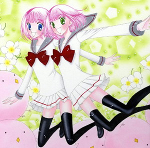 ■「HCD　ベリーベリー」