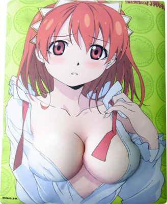 【コミケ77】『一騎当千XTREME XECUTOR』先行DVD