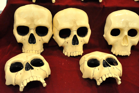 スカル、スカル、スカル!!……と、溢れんばかりのスカルを展示していたこちらのブース。一つ一つの造形もリアルで、部屋に飾ったらちょっと怖いかも……。