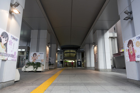 JR秋葉原駅昭和通り口の様子。すべての柱にアイドルが貼られていた。