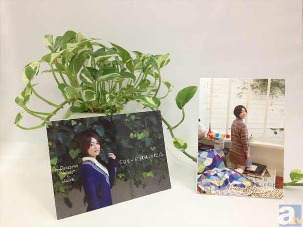 特製コレクションスタンドカード