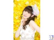 田村ゆかりさんのライブBD＆DVDより、ジャケット写真公開！