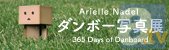 「ダンボー写真展」が名古屋パルコで開催決定！