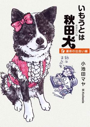 5 8 日 書泉にて いもうとは秋田犬 1巻発売記念サイン会開催 アニメイトタイムズ