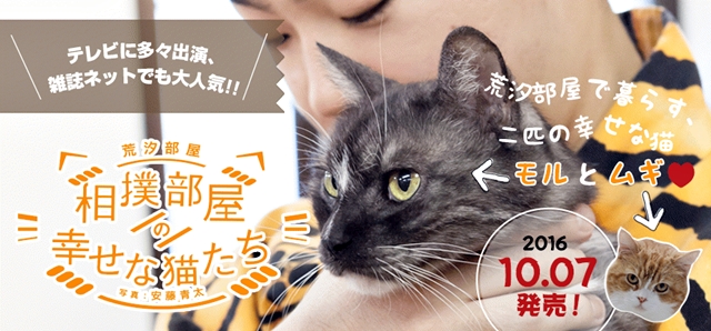 相撲部屋で暮らす猫「モル」と「ムギ」の写真集が発売
