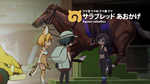 けもフレ 日本中央競馬会コラボ第2弾の動画が公開 アニメイトタイムズ