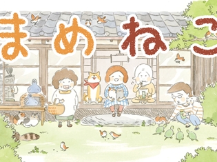 ゆるふわなねこライフを描く『まめねこ』TVアニメが2018年1月より放送開始! 声優陣には明坂聡美さん、大地葉さんなど