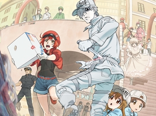 2018年夏アニメ『はたらく細胞』第2弾キービジュアル・PV&最新放送・配信情報が解禁! さらに、千葉翔也さんと能登麻美子さんが追加出演決定!