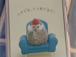 声優・杉田智和さんがハリネズミの教頭役で女子高生に助言!? ハリネズミ教頭の声を担当したニキビ治療啓発動画が公開