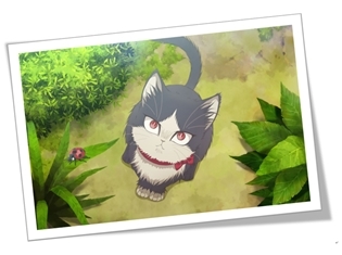 『同居人はひざ、時々、頭のうえ。』あなたの大切な同居人・猫の写真を大募集! 採用作品はTVアニメのエンドカードに