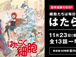 TVアニメ『はたらく細胞』11月23日の「勤労感謝の日」にAbemaTVで全話無料一挙放送!放送終了後48時間はAbema ビデオで無料視聴可能