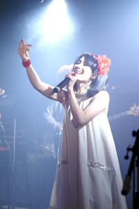 志倉千代丸さんも応援“村田あゆみ Live 2008「パピー..